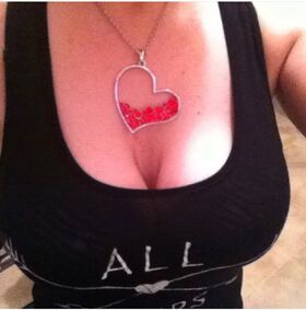 Baseballchickie