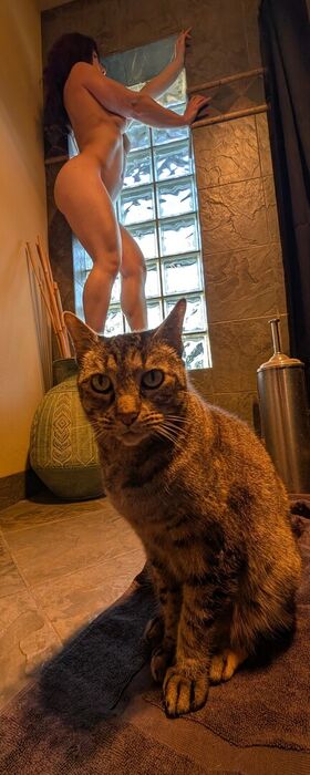 Kittybit