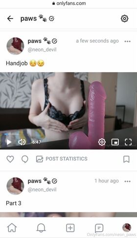 neon_paws
