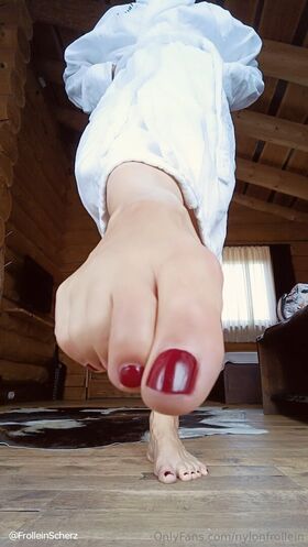 nylonfrollein