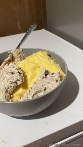 pudgypie