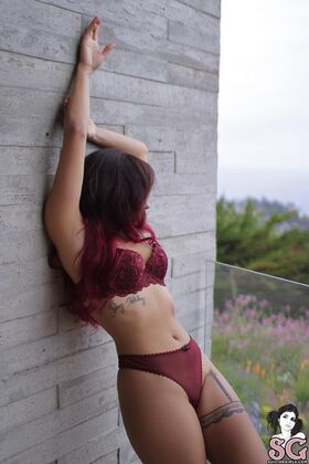 Sunny Suicide