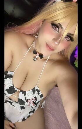 tuwaifuvirtual