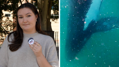 Composite image, on the left is BBC journalist Tiffanie Turnbull  standing outside near trees wearing a grey top, on the right is a humpback whale underwater