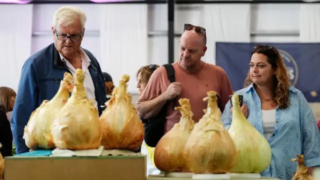 People observe giant onions at the Malvern Autumn Show
