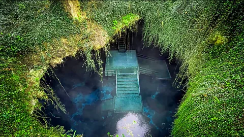 Diving into Floridau2019s prehistoric cave of Ice Age secrets