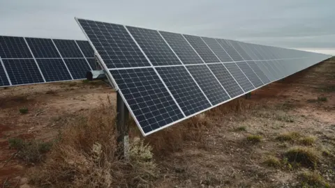 AFP via Getty Images Solar panels in a Texan field